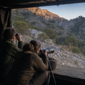 Caza Fotográfica de Fauna en Sierra Espuña