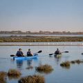 Kayak por las Salinas de San Pedro del Pinatar