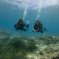 Bautismo de Buceo en Cabo de Palos