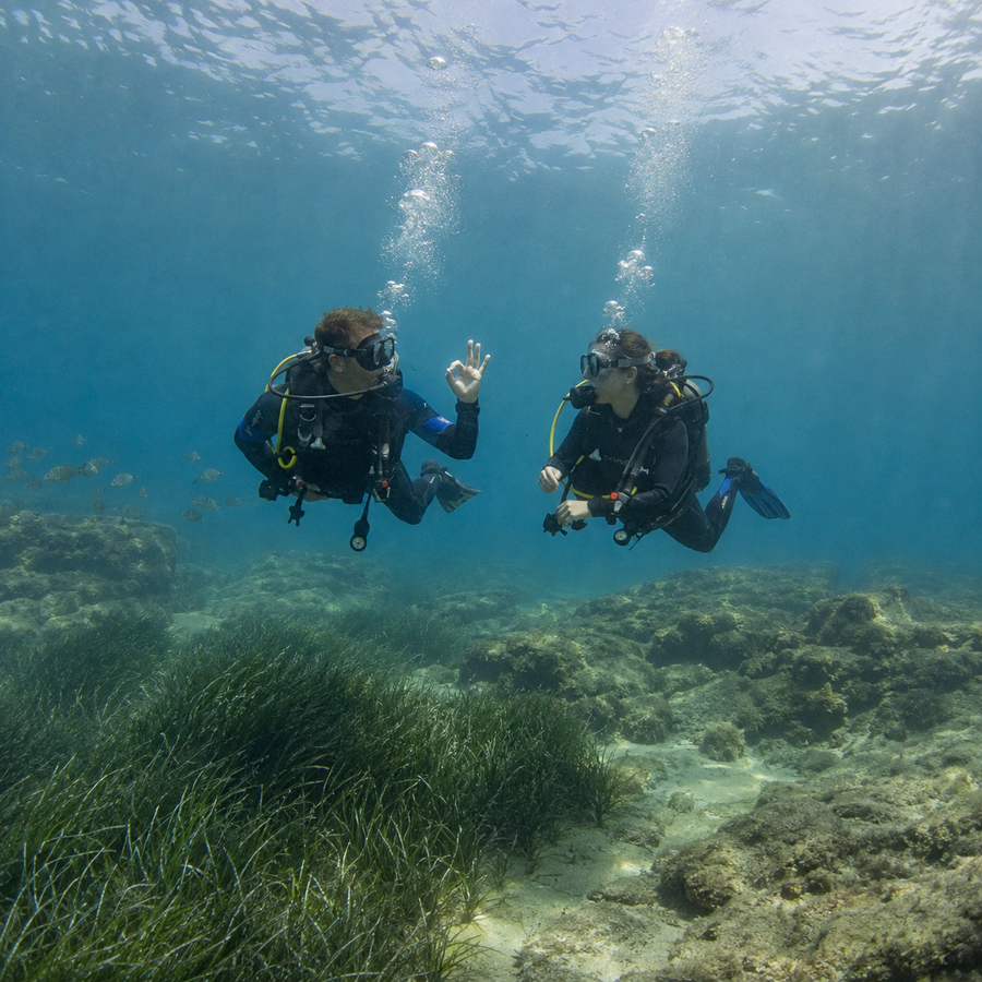 Bautismo de Buceo en Cabo de Palos